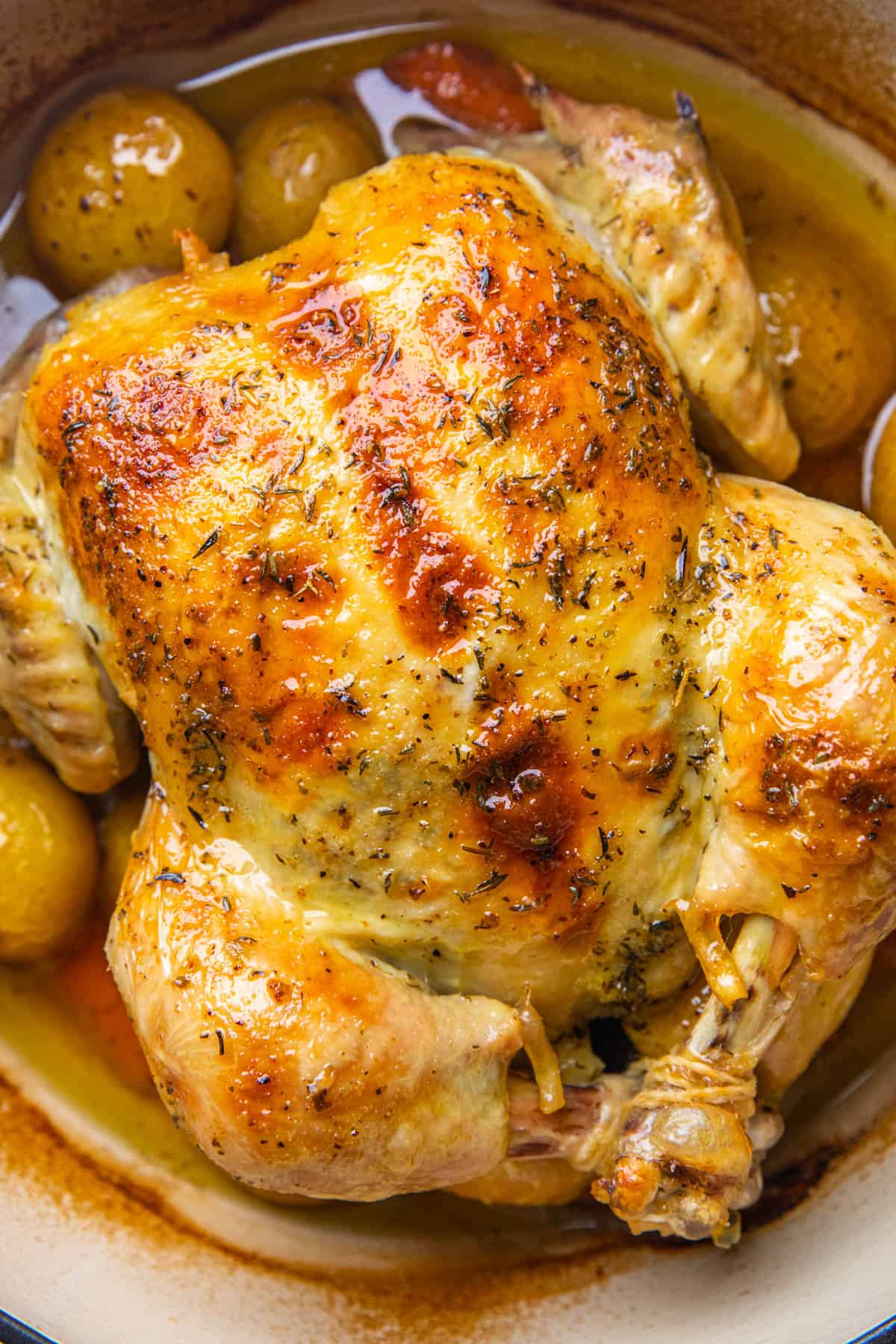 Dutch Oven Whole Chicken with Crispy Skin and Herb Butter