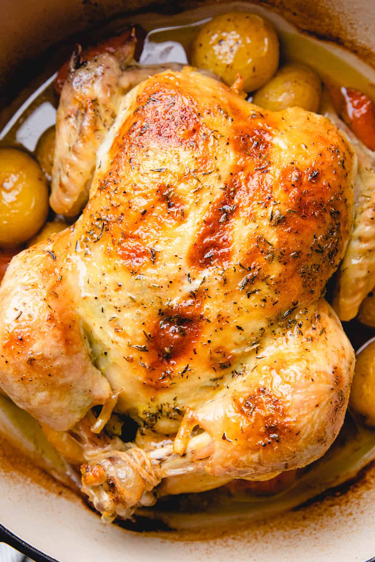 Dutch Oven Whole Chicken with Crispy Skin and Herb Butter