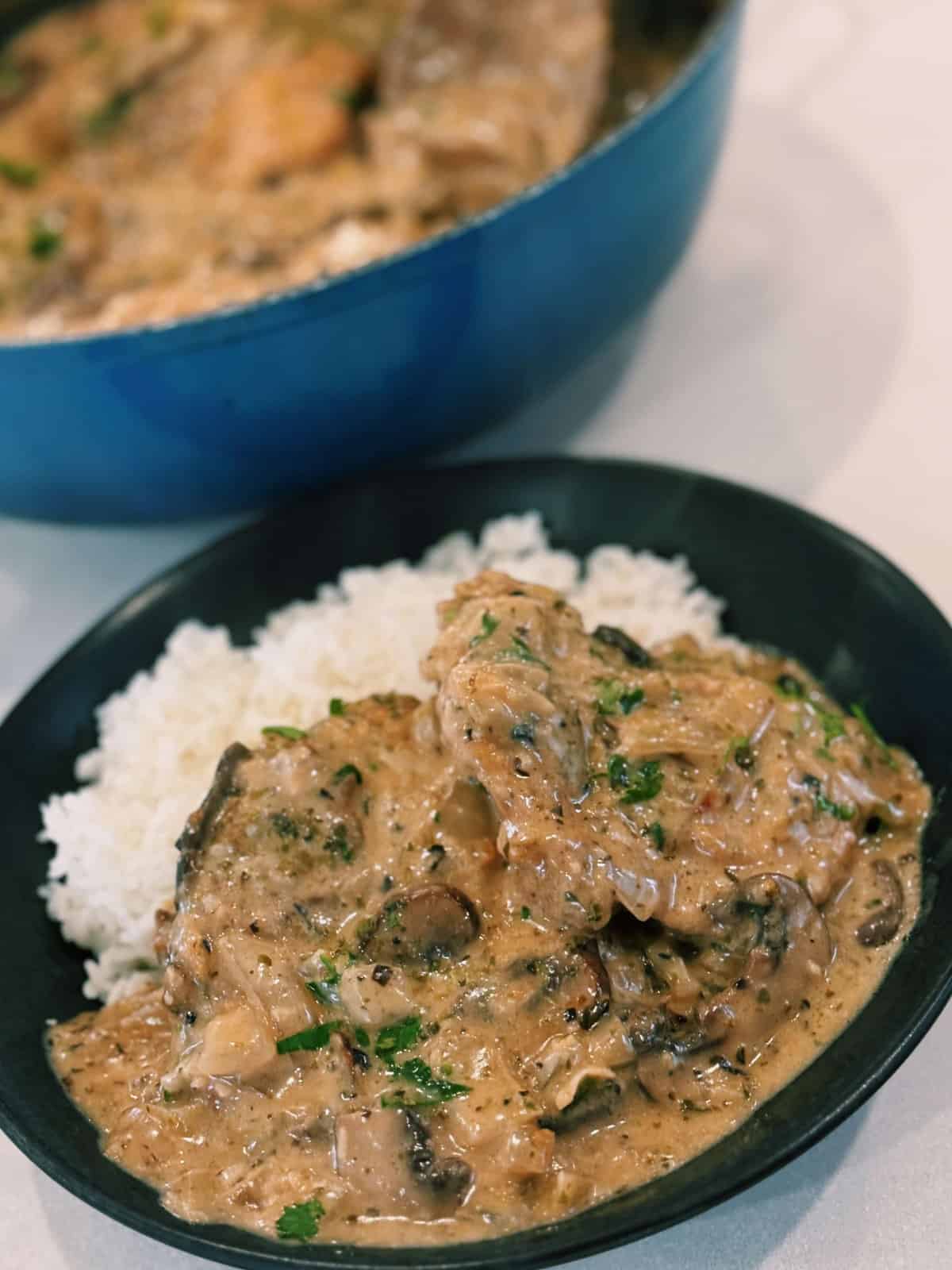 Coconut Red Curry Chicken Udon with Chewy Noodles and Juicy Chicken