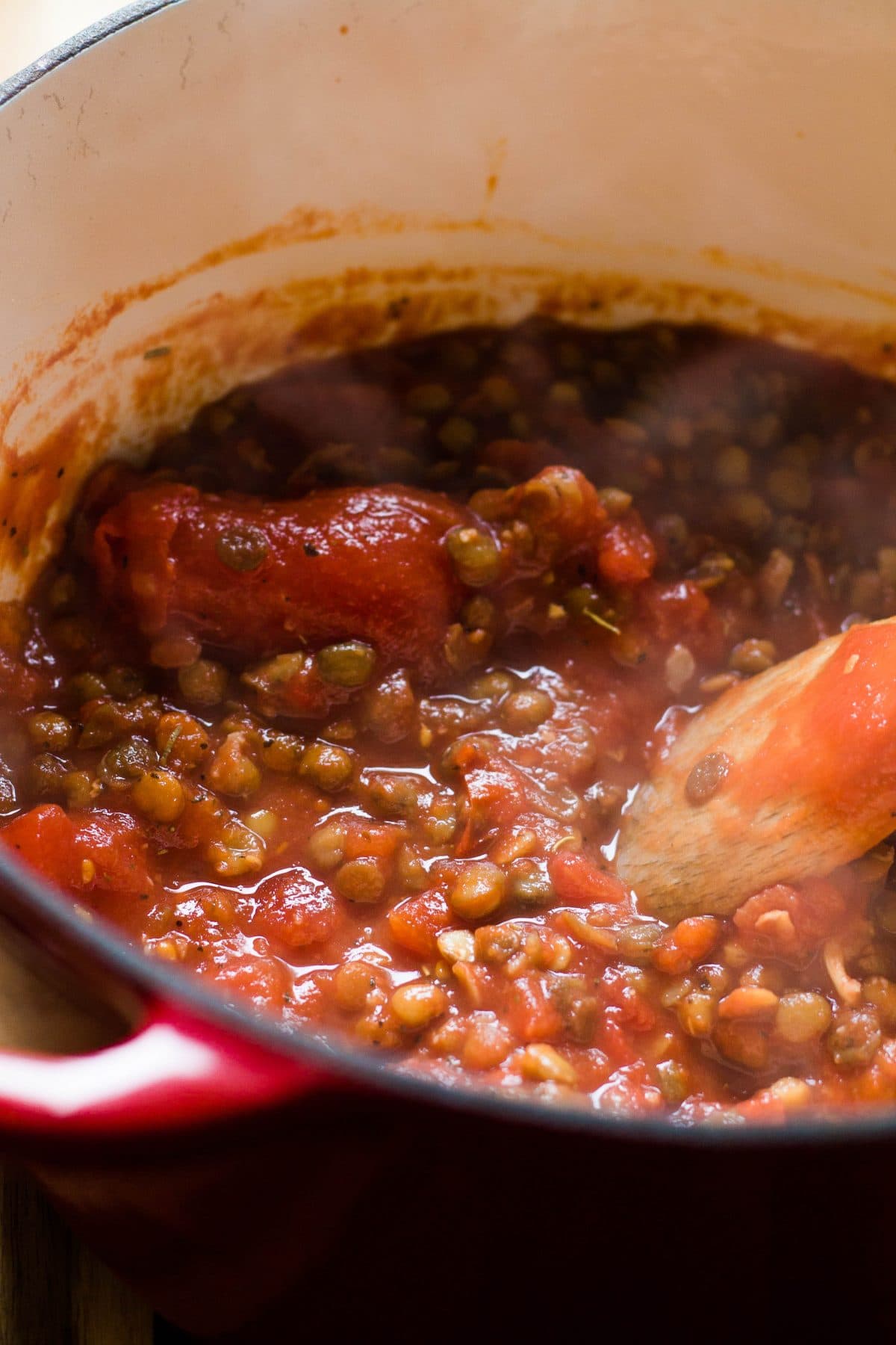 One Pot Pasta with Cheesy Lentil Sauce: Creamy Tomato Family Dinner