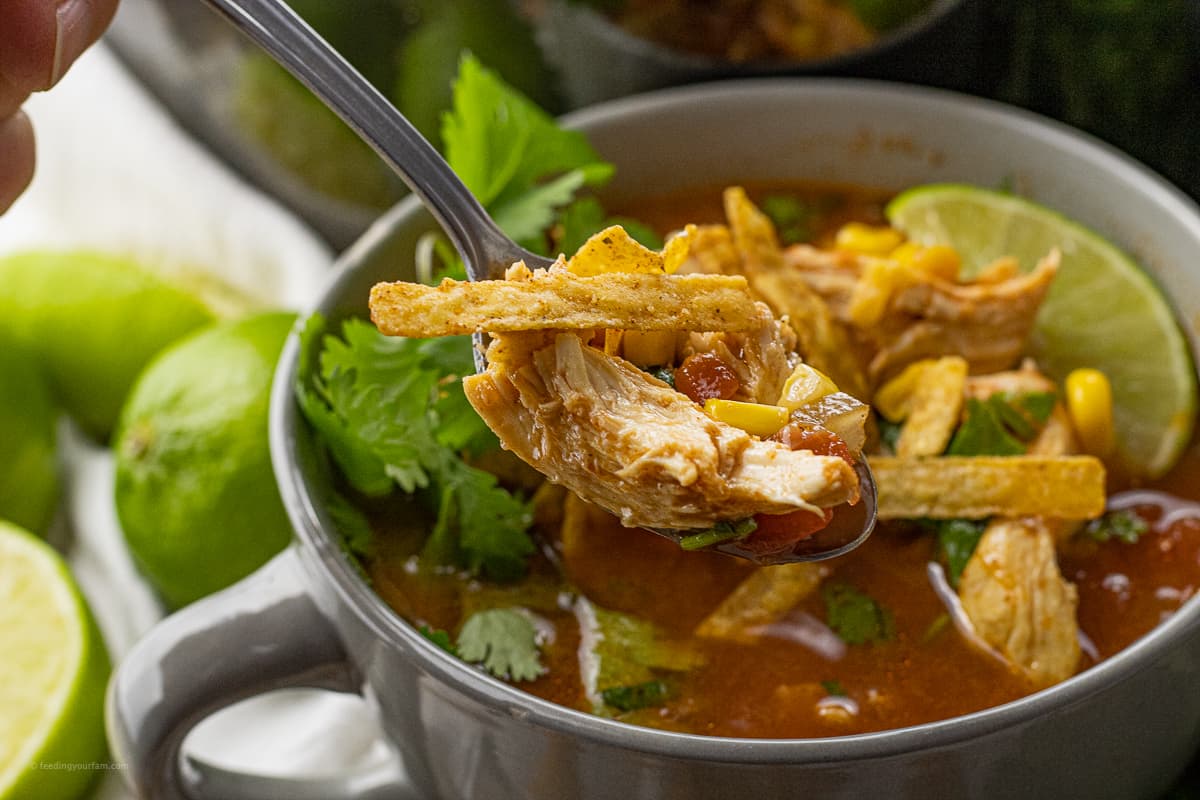 Chicken Tortilla Soup with Black Beans and Corn