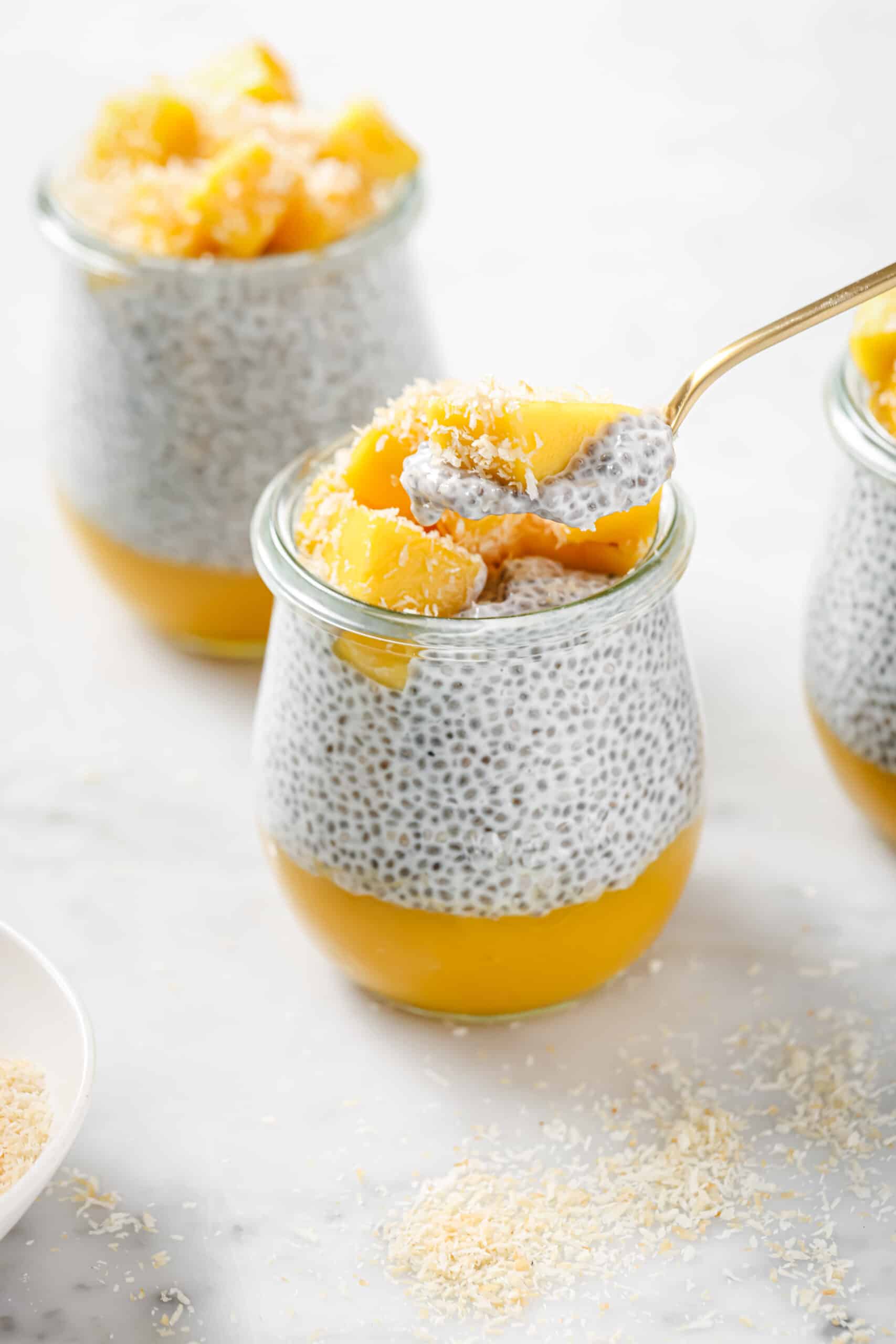 Mango Coconut Chia Pudding with Creamy Coconut Milk and Toasted Coconut