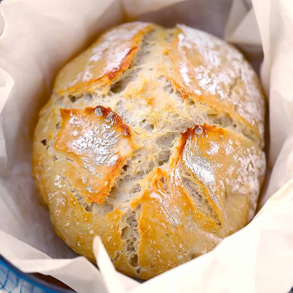 Dutch Oven No Knead Bread with a Crisp Crust and Fluffy Interior